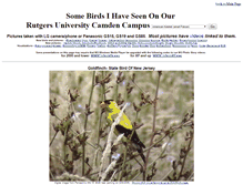 Tablet Screenshot of birds.camden.rutgers.edu