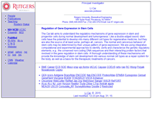 Tablet Screenshot of cell.rutgers.edu